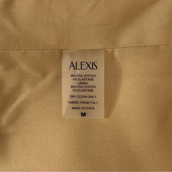 ALEXIS Midi Button-Front Lena Sleeveless Dress - Picture 6 of 6